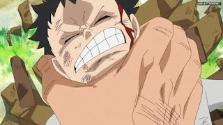 ワンピースアニメ ドレスローザ編 702話 トラファルガー・ロー 幼少期 かわいい CV.神谷浩史 Trafalgar Law | ONE PIECE Episode 702