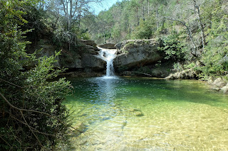 Poza de agua fantástica para bañarse por el torrente de la Cabana en  Campdevànol. Ripoll