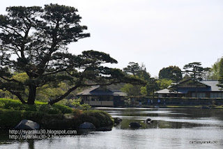 日本庭園の写真