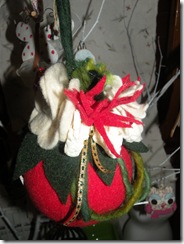 natale 2010 011