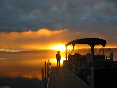 Rose on the pier at sunrise