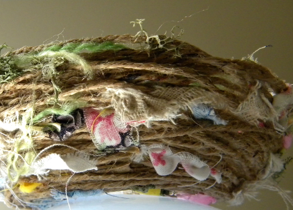 Pictures Of Birds In Nests. I love the idea of birds using