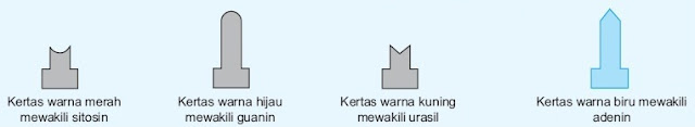  Dampak insiden pengeboman Hiroshima dan Nagasaki pada Perang Dunia kedua sangat mengeri Pintar Pelajaran Pengertian Mutasi Gen dan Kromosom Biologi, Penyebab dan Contoh Mutasi