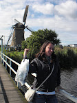 Windmills What Else?