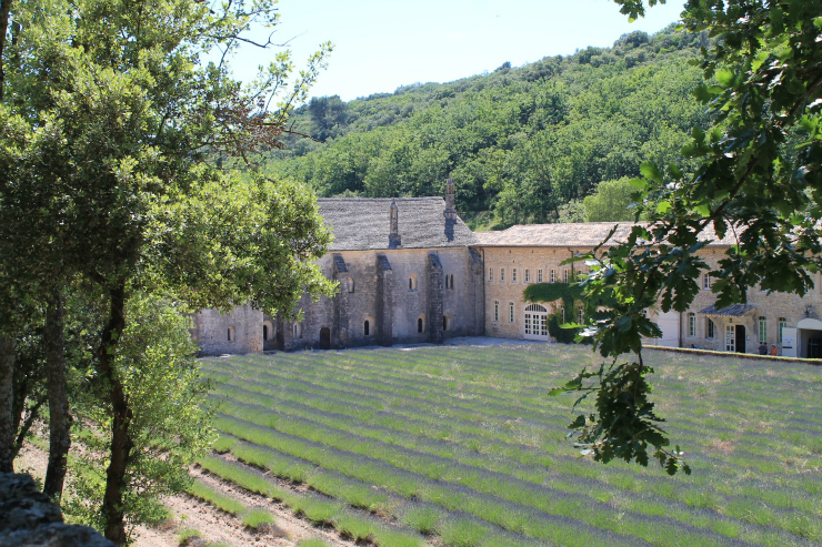 Provence, France #travels