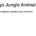 Http://simple.wikipedia.org/wiki/Congo Rainforest - Congo Jungle Animals