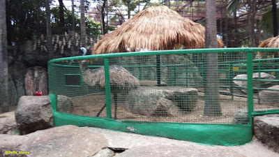 Mini Zoo on Nong Nooch