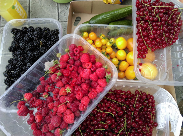 Beeren pflücken Franken