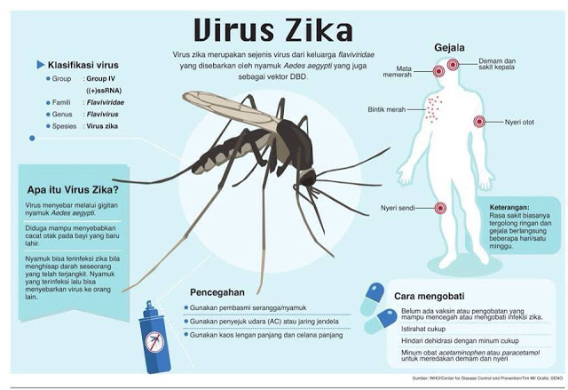 Virus Zika - MENGENAL, GEJALA, PENCEGAHAN DAN CARA MENGOBATI