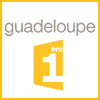 https://la1ere.francetvinfo.fr/guadeloupe/papiers-identite-roles-resistances-femmes-esclaves-700236.html