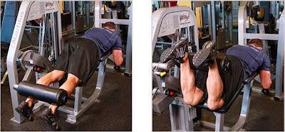lying leg curls