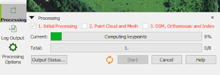 Initial Processing Progress