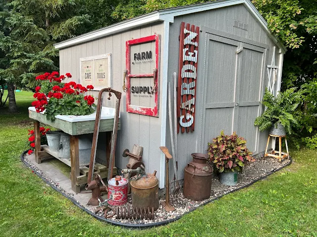 Photo of a garden shed decorated with junk and red geraniums.