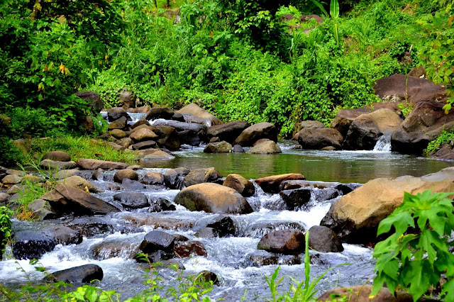 mambukal+resort+falls+murcia.jpg