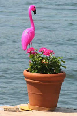 plastic pink flamingo