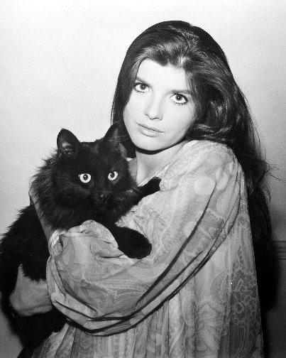 Katharine Ross - Wallpaper Colection