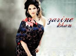  Zarine Khan Beautiful Hd Wallpaper 3