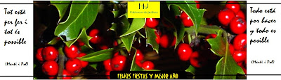 centro de jardineria decoracion de exteriores plantas decoracion