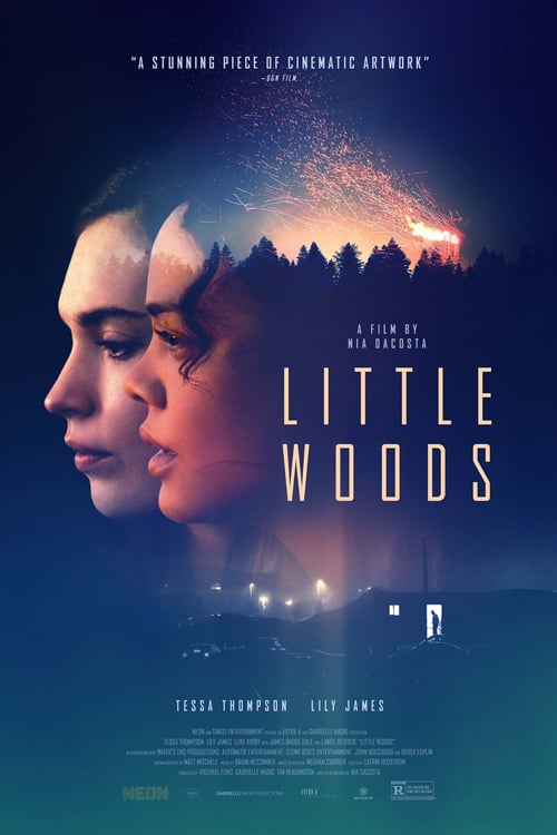 [HD] Little Woods 2019 Pelicula Online Castellano