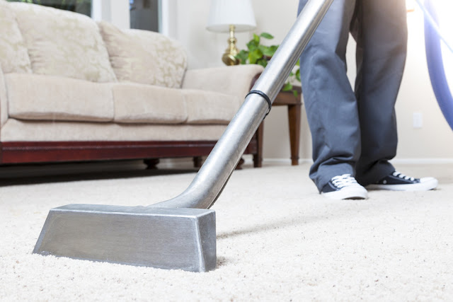 carpet steam cleaning