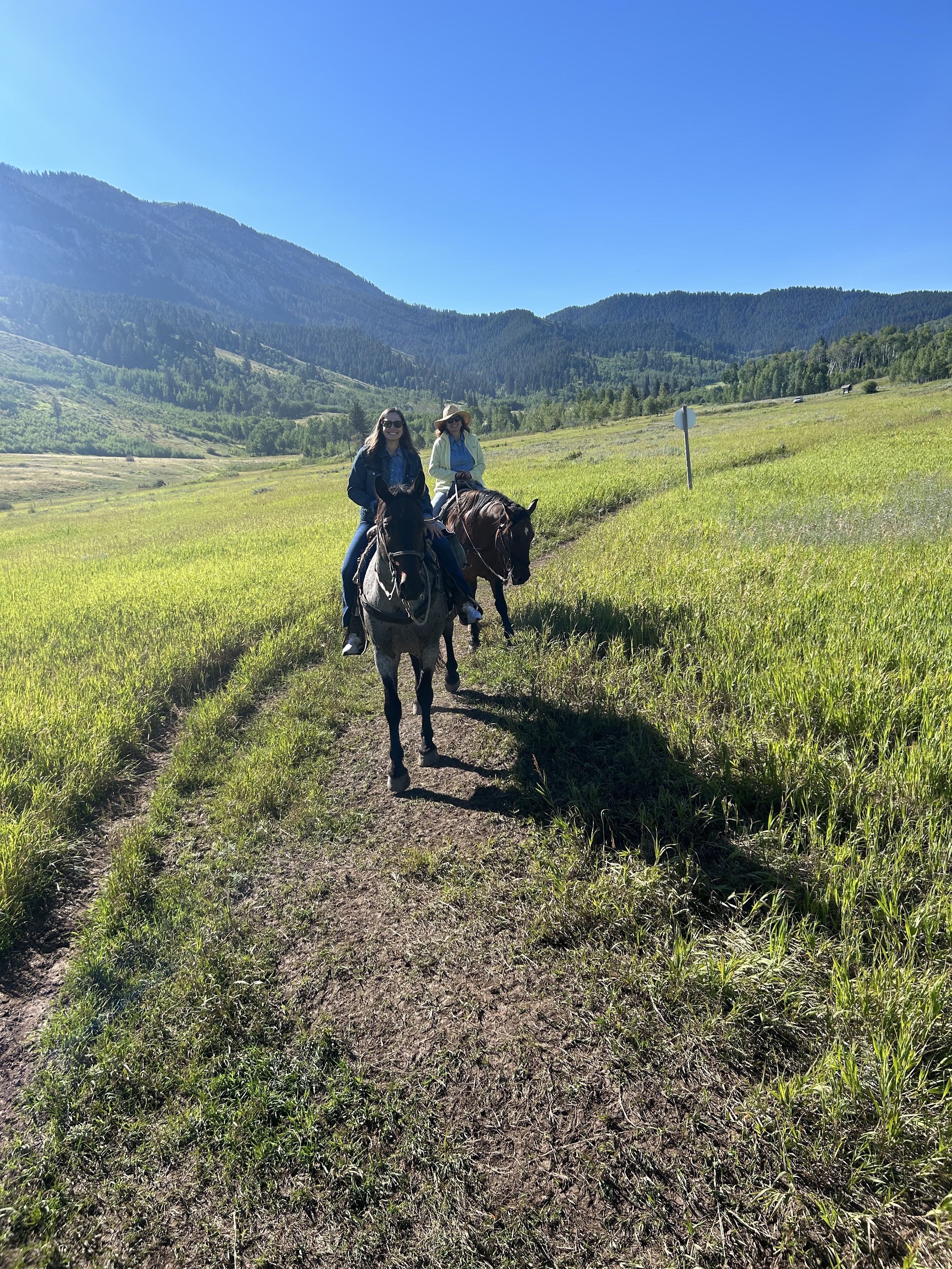 horseback riding, jackson wyoming, jackson hole horseback riding, jackson hole travel guide