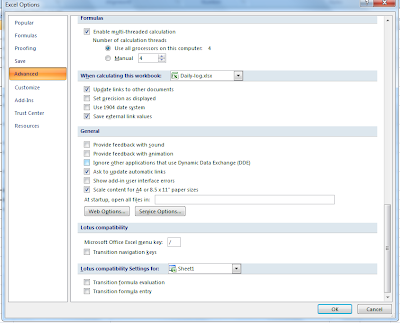 Microsoft Excel 2007: Excel Option : Advanced Tab