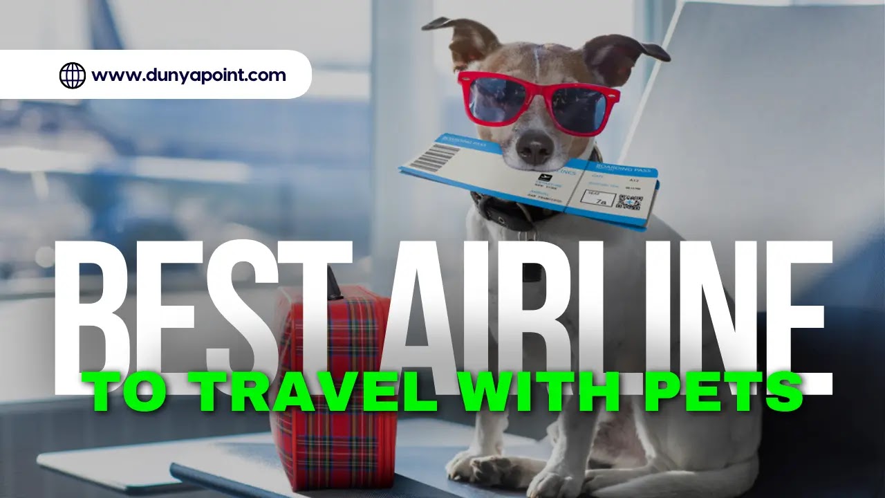 The Best Airline to Travel With Pets