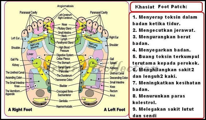 BALQIS LITTLE SHOPPE: DETOX FOOT PATCH