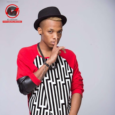 Tekno - Jogodo (2018) | Download Mp3