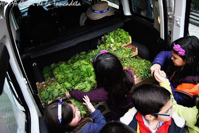 niños dejando verduras banco alimentos ampa colegio bonavista alaquas