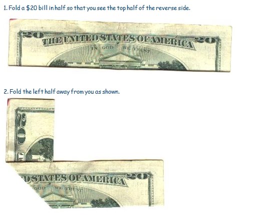 american dollar bill owl. american 1 dollar bill