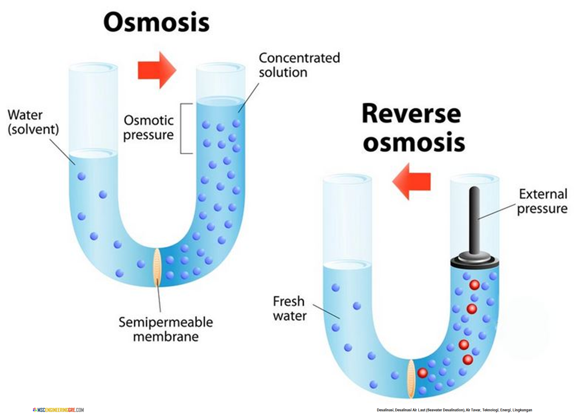 Osmosis Reversi Osmosis