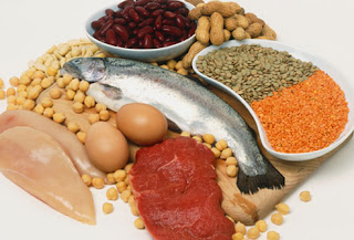 Protein Rich Foods And Healthy Diet