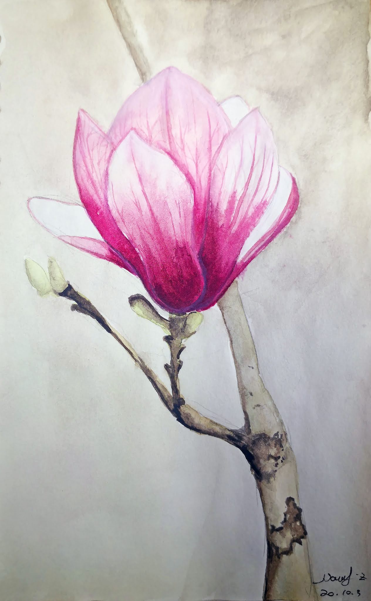 Watercolor magnolia flower tutorial, How to draw step by step easy, come to see my web class