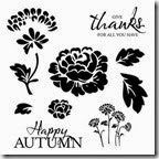 happy autumn