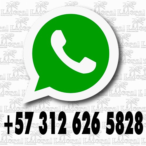 ESCRIBENOS AL WHATSAPP