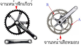 ชุดจาน จักรยานฟิกเกียร์