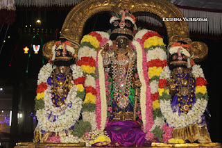 Sri Parthasarathy Perumal,Ippasi,Deepavali, Diwali, Manavala Maamunigal,Purappadu,2016, Video, Divya Prabhandam,Triplicane,Thiruvallikeni,Utsavam,