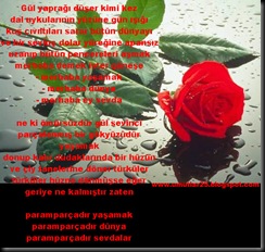 gulum-