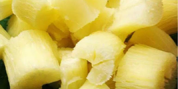 Boiled Cassava Calories and Other Nutritional Content