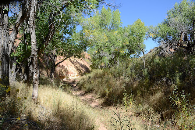 shallow canyon