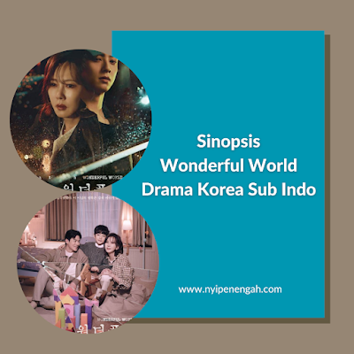 Sinopsis Wonderful World Drama Korea Sub Indo