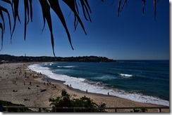 Sydney (5) (Medium)