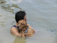 Pets Adventure 10 (30_1) (45)