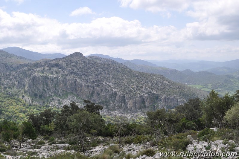 Llanos del Campo - Tesorillo - Cerro del Granadillo - Cerro de las Cuevas - Llanos del Berral