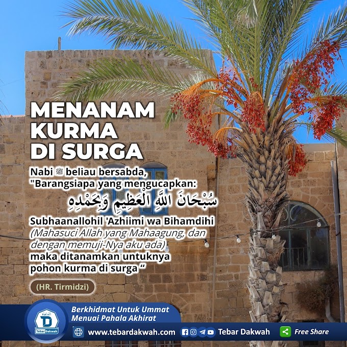 MENANAM KURMA DI SURGA