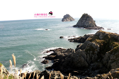 Korea, Travel,busan,museum,skywalk