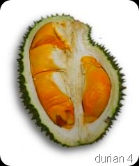 durian4