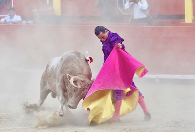 Torero Joaquin Galdós y toro Lucumo de El Olivar en la plaza de Acho polvareda