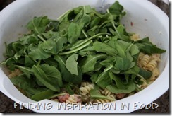 IMG_8152 (800x533)
